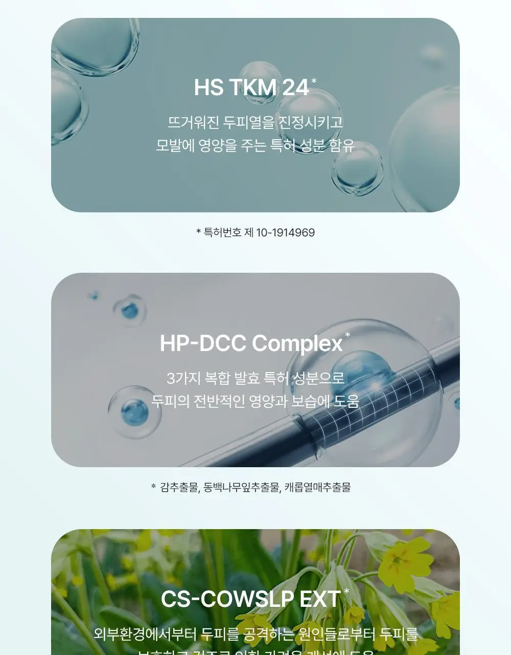 [노세범/쿨링]달리프 쿨링 드라이샴푸 200ml 상세페이지 19